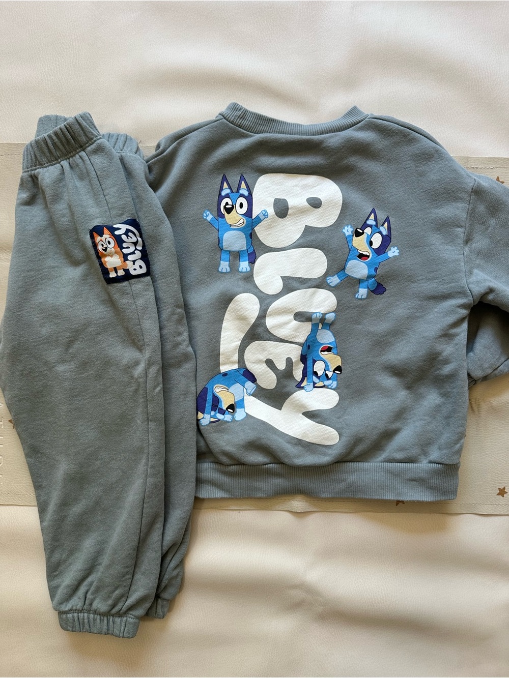 5 fits 4t Zara Bluey Gray Green Sweatshirt & Sweatpants Matching Set